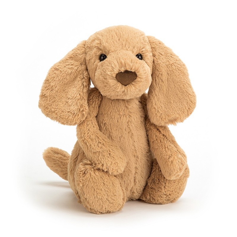 Peluche Chiot Toffee Bashful 31cm - Jellycat