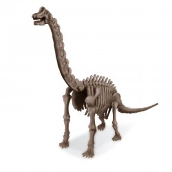Deterre Ton Dinosaure : Brachiosaure - 4M