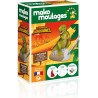 Kit créatif Le monde des dinosaures : Le Tyrannosaure - Mako Moulages