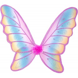 Ailes arc-en-ciel...