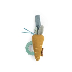 Hochet anneau de dentition...