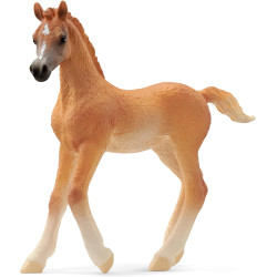 Figurine Poulain Arabe -...