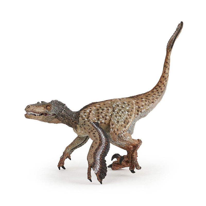 Figurine dinosaure Vélociraptor à plumes - Papo
