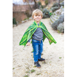 Déguisement Cape du Dragon Légendaire et masque 4/6 Ans - Great Pretenders