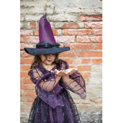 Déguisement Robe et chapeau de sorcière Améthyste 3/4 Ans - Great Pretenders