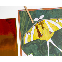 Cartes fantastiques Tout autour du monde - Moulin Roty