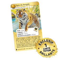Coffret 3 Booster Défis Nature Protect : Tigre - Bioviva