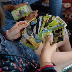 Booster Défis Nature Protect : Edition Force De La Nature - Bioviva
