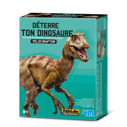 Deterre Ton Dinosaure :...