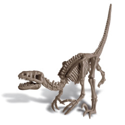 Deterre Ton Dinosaure : Vélociraptor - 4M