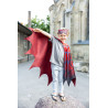 Déguisement cape Super-héros araignée 4-6 ans - Great Pretenders