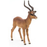 Figurine antilope Impala - Papo