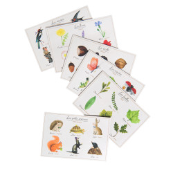 Le loto de la nature - Moulin Roty