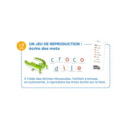 Mon grand coffret des lettres - Djeco
