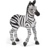 Figurine Bébé Zèbre - Papo