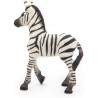 Figurine Bébé Zèbre - Papo