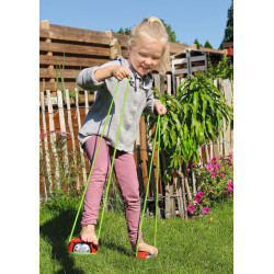 Echasses de marche coccinelle - Moses