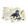 Coffret de 3 puzzles 200 pcs dinosaures avec posters - Vilac