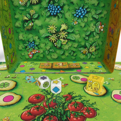 Escargots… Prêts ? Partez !