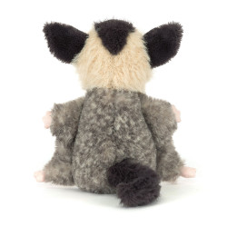 Peluche Lolly Sugar Glider (Phalanger volant) 14 cm - Jellycat