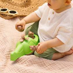 L'hélicoptère/bateau Chlorophylle - Simple.