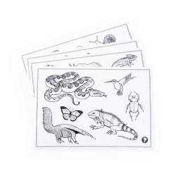 Tablette lumineuse Kidywolf - Tout autour du monde - Moulin Roty