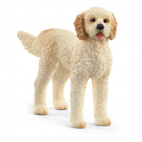 Figurine Chien Goldendoodle - Schleich | poissondavril38.com