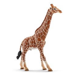 Girafe Male - Schleich