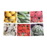 Memo Fruits Et Legumes - Jeux FK