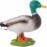 Figurine Canard - Schleich