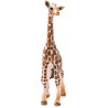 Figurine bébé Girafe - Schleich