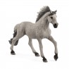 Figurine Etalon Mustang Sorraia - Schleich
