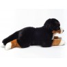 Peluche Bouvier Bernois couché 60 cm - Hermann Teddy