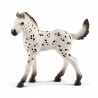 Figurine Poulain Knabstrupper - Schleich